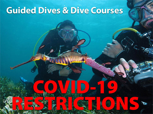 Coronavirus COVID-19 Restrictions - Guided Dives and Dive Courses