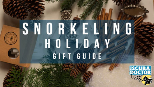 Snorkelling Holiday Gift Guide