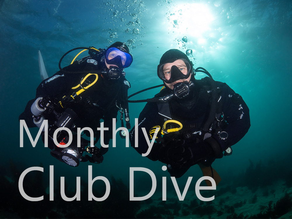 Club Dive - Non-Member