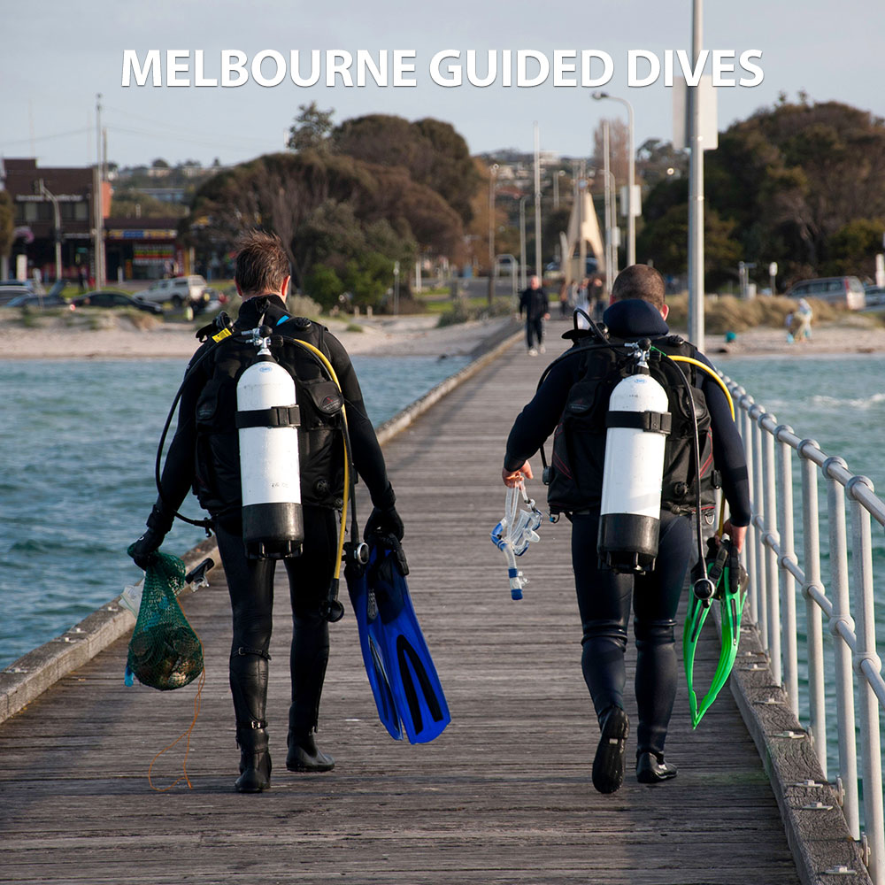 Boat Dive - Double [Course Addition]