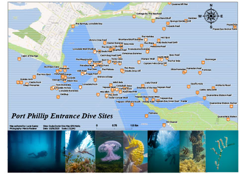 Port Phillip Entrance Dive Sites