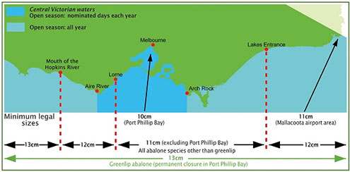 Abalone map for Victoria