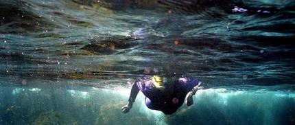 Snorkelling in the Bay