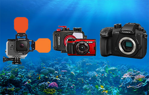 Best Underwater Cameras and Housings