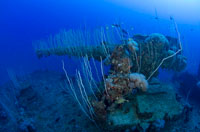 Gun on the USS Carlisle