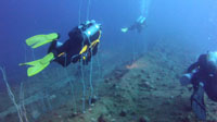 Diving the USS Arkansas battleship