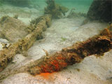 Agnes Wreckage