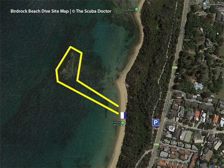 Birdrock Beach Dive Sie Map