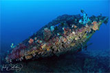 SS Coogee Bow