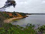 Coral Cove