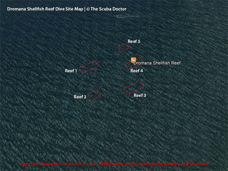 Dromana Shellfish Reef Dive Site Map