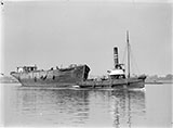 Ester with Geebung Tug