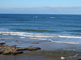 Hopkins Reef, Warrnambool