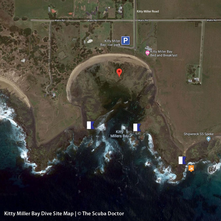 Kitty Miller Bay Dive Site Map