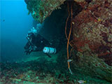 Lady Cheryl Dive