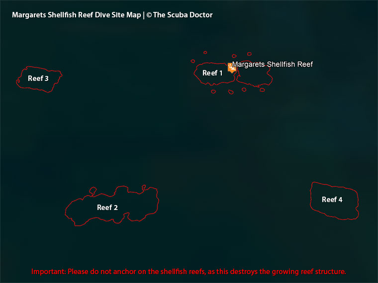 Margarets Shellfish Reef Dive Site Map