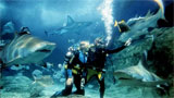 Melbourne Aquarium