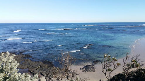 Mushroom Reef Marine Sanctuary