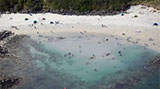 Pea Soup Beach