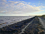 Point Cooke Beach