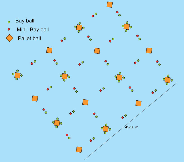 Port Phillip Boat Based Reef Layout