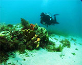 Portsea Hole
