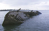 Red Bird Tug Wreck