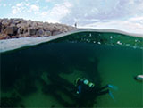 Sandringham Pier Breakwater