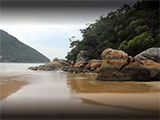 Sealers Cove