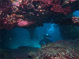 Spray Point Caverns