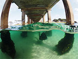 St Leonards Pier