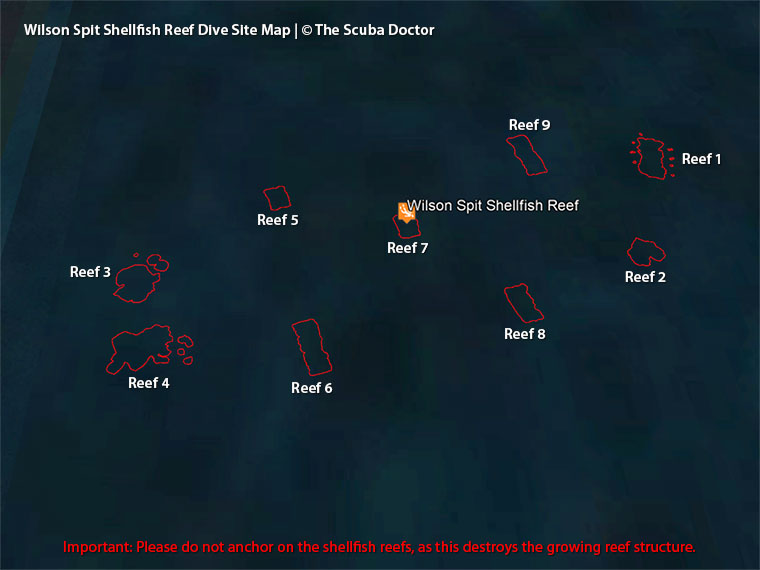 Wilson Spit Shellfish Reef Dive Site Map