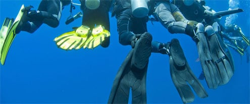 Freediving Fins - The Easy Guide To Choosing The Best Fins For You 