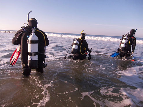 Great Southern Reef shore dive