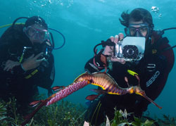 Couple on Guided Dive