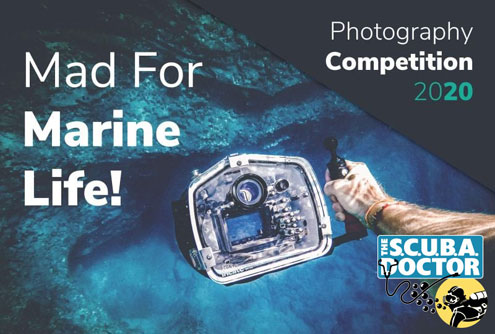 2020 Mad For Marine Life Photo Contest