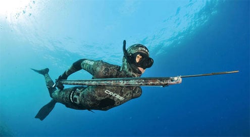  Spearfishing in Melbourne