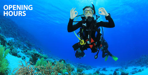 Opening Hours at The Scuba Doctor