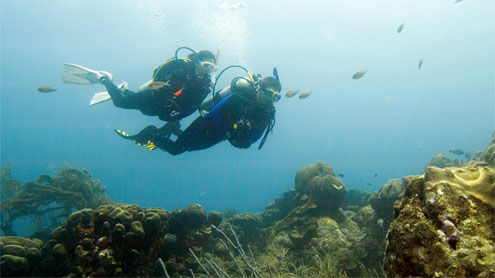 PADI Deep Diver