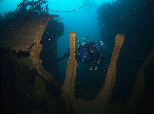 Phillip Island Dives