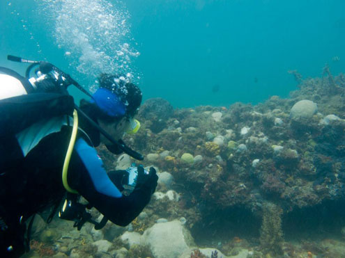 Bob Pavlich on Rosebud Reef