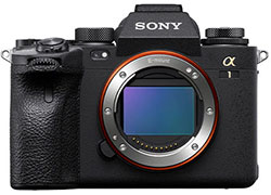 Sony a1 Mirrorless Camera