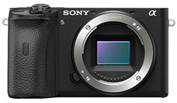 Sony a6600 Mirrorless Camera