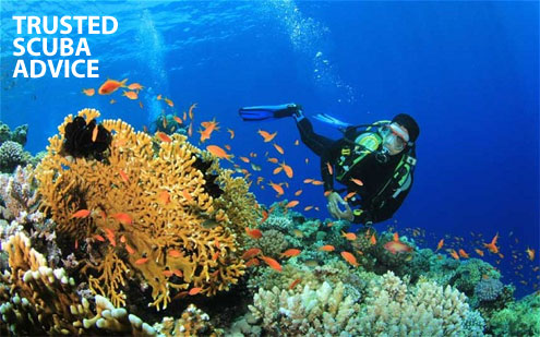 The Scuba Doctor Dive Shop - Buy Scuba Diving, Snorkelling, Spearfishing  and Freediving Gear from Australia's best online dive retailer