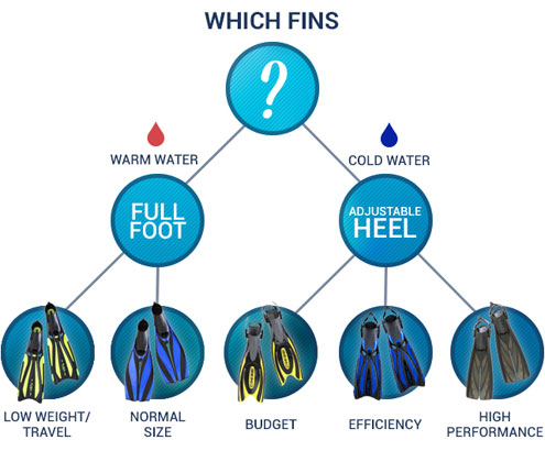 Which Fins?