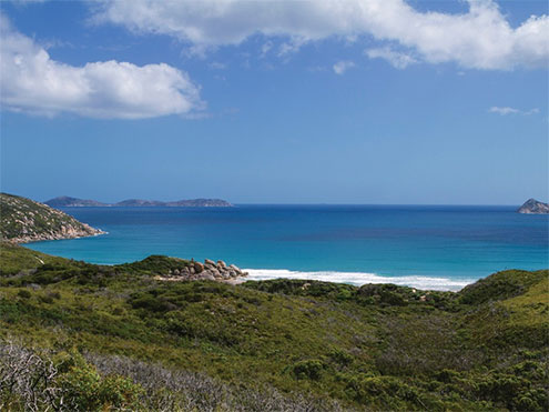 Wilsons Promontory Dives