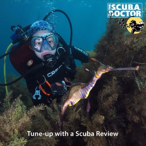 PADI Refresher ReActivate Course - IN-WATER DIVE ONLY