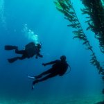 PADI Deep Course