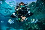 Horizon SCR Course Extended Range - Level 2