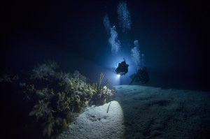 PADI Night Diver